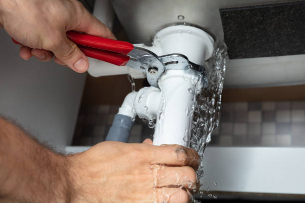 Best Professional water damage repair  in Dix Hills, NY