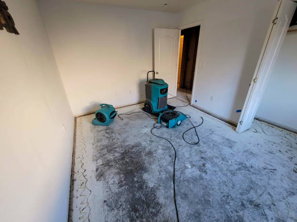 Best Water damage restoration near me  in Dix Hills, NY
