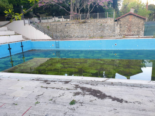 Best Flood restoration services  in Dix Hills, NY